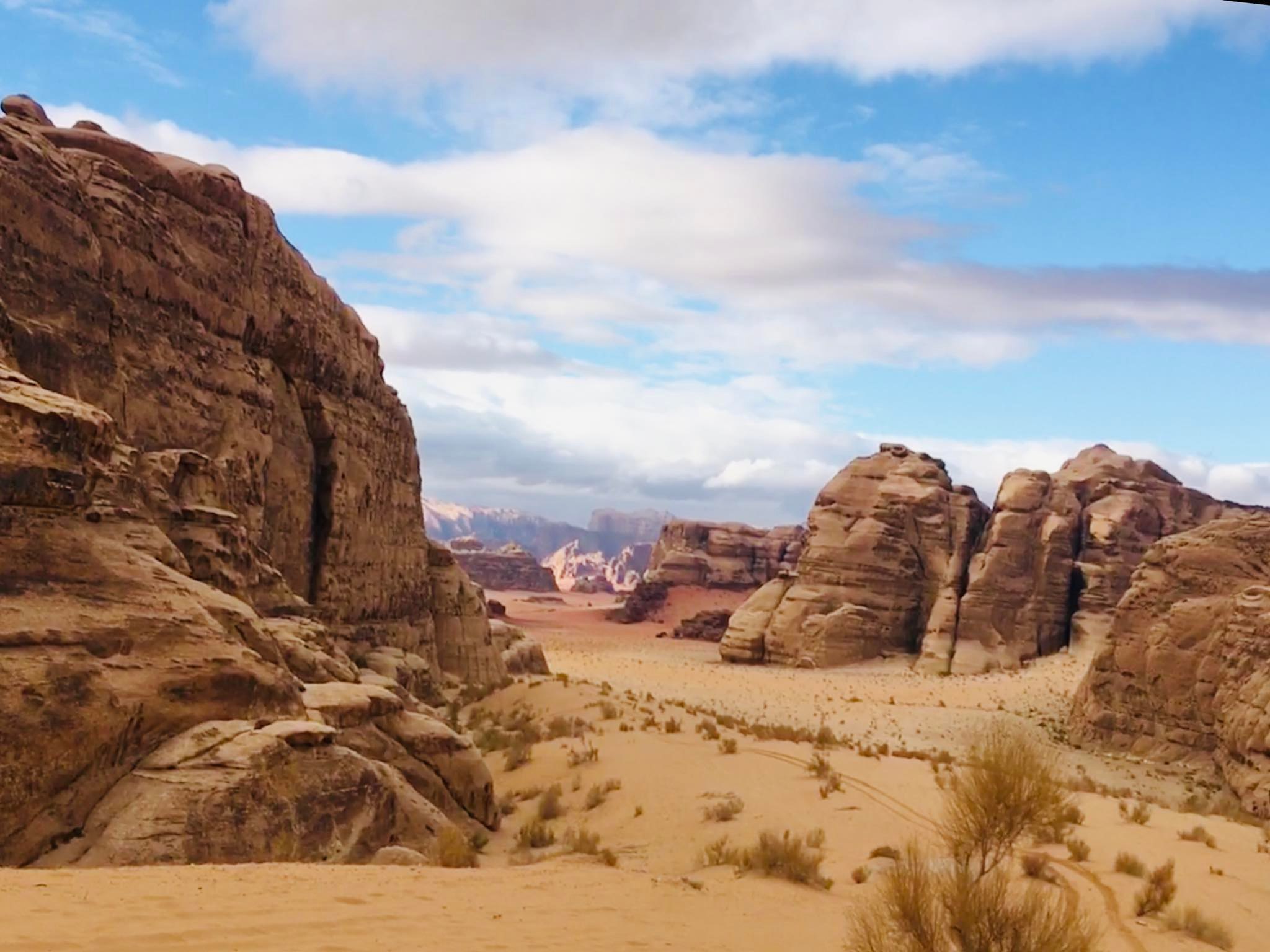 wadi rum day trips